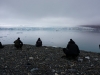 Spitsbergen 2018