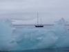 Spitsbergen 2018