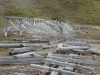 Spitsbergen